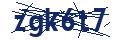 Varification Code